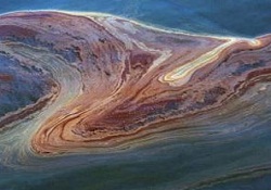 Shell'den sızıntı itirafı