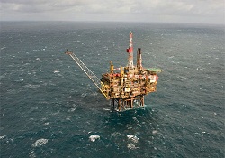 İlk sonuçlar Aralık ayında alınacak