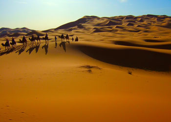 Ammar’a düşman olan Allah’a da olur