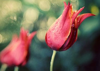 Kaygı bozukluklarına karşı: tevekkül ve dua et