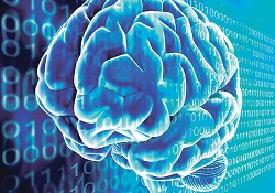 'Daha uzun süre okula gidenler daha zeki oluyor'