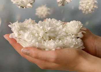 Halka teşekkür etmeyen Allaha şükretmez