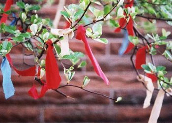 Hurafe ve bidatların binbir türlüsünü yazdı