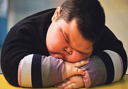 Şişman ve göbekli olmak eğtim başarısına engel