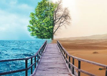 Dünya zaman ve kaynak tasarrufunu keşfetti