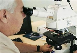 Üniversitelerde araştırma devri