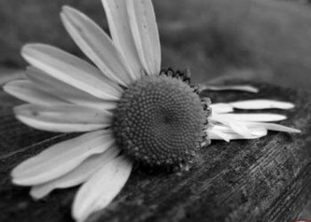 Üzerine cennetin haram edildiği kişi