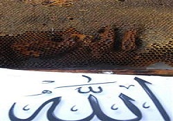 Arılar petek üzerinde 'Allah' yazdı
