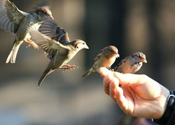 Eğer kadın, bu şekilde infak ederse...