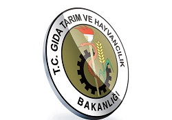 Markete inmeden kontroller bitecek