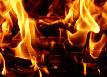 Yüzlerce Said'i feda ettiren büyük bir dava