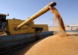 Tarım ihracatında hedef 50 milyar dolar