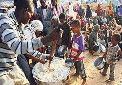 Somali için 352 milyon lira toplandı