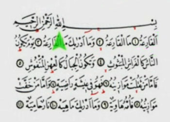 Hafız Mustafa Efe'den kısa sureler-VİDEO