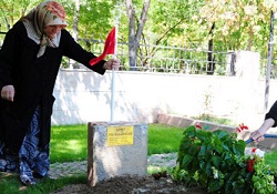 Şehitlerimiz hangi ülkede yatıyor?
