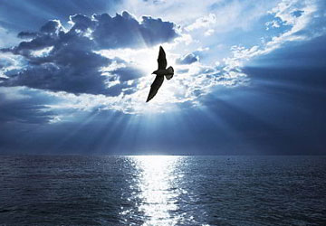 Düşünen bir topluluk için ayetler vardır