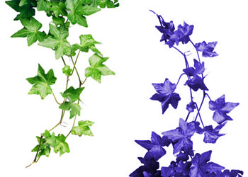 Araplar ve Türkler el ele verdiğinde...