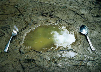 Bir tarafta açlık, diğer tarafta 1.3 milyar ton yiyecek...