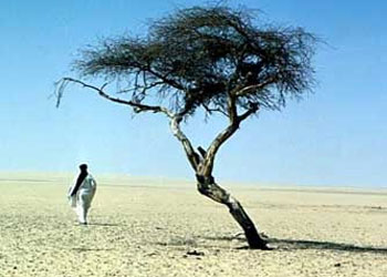 Doğrusu ben, kendini Allah’a verenlerdenim