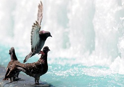 2011, Belçika tarihinde en sıcak yıl oldu