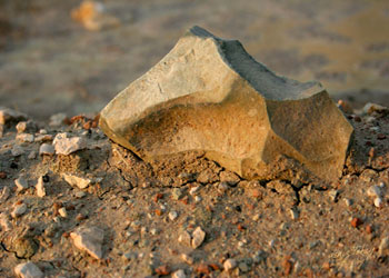 Dünyanın tartıştığı nefes alan toprağın sırrı ortaya çıktı