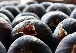 İncir Zararlı Toksinlerden Koruyor