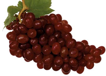 Zevkin her çeşidini tatmak, ilerleme değil