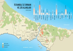 Sadece İstanbul'da 16 milyar liralık 2-B arazisi var