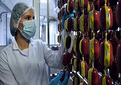 Helal et sertifikasıyla satışlarını yüzde 20 artırdı