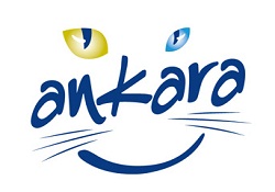 Ankara'nın yeni logosu bıyıklı kedi