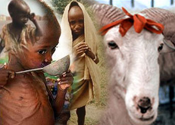 Diyanet'ten kurbanlar da Somali'ye projesi