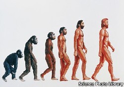 Evrimciler ders kitaplarından çıkacak