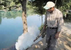 Manavgat'ta Durgun Su Birikintileri İlaçlanıyor