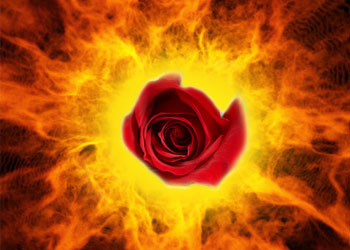 Kalbinde zerre miktarı iman bulunan kimse