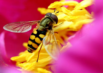 Yeterli maişete kanaat edene ne mutlu