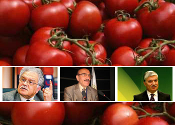 Hormonlu sebzeye ilahiyatçıların yorumu