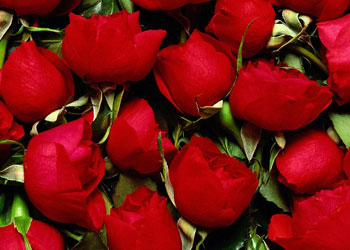 Çocuğunu öpmeyene uyarı!