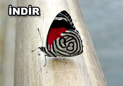 Risale-i Nur'dan vecizeli duvar kağıdı - [indir]