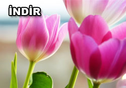 Risale-i Nur'dan vecizeli duvar kağıdı - [indir]