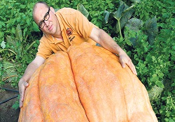 Böyle kabak kaç kere yetişir?