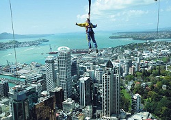 Sana gökyüzünden baktım ey Yeni Zelanda!