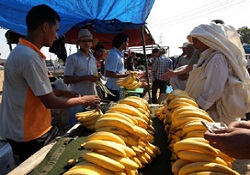 Libya'da hayat normale dönmeye başladı