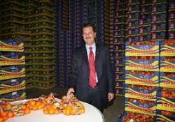 Made İn Turkey Tercih Ediliyor