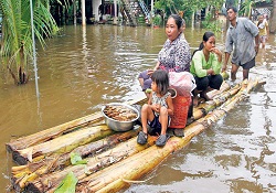 Kamboçya'da selin bilançosu ağır: 156 ölü