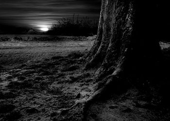 Bir de bakarsın karanlık içinde kalmışlardır