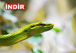 Risale-i Nur'dan vecizeli duvar kağıdı - [indir]