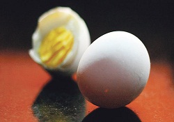 Yumurta ve süte okul zammı