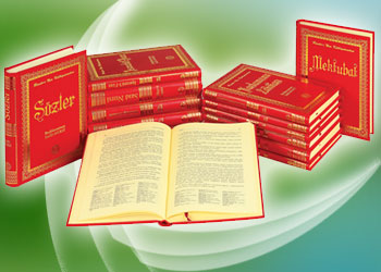 Risale-i Nur’u öğrenme yöntemleri nelerdir?