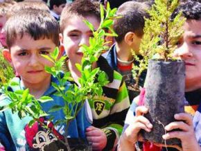 Avrupa'dan Türkiye'ye ağaçlandırma övgüsü