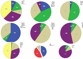 Münazarat Konferansı anket sonuçları-FOTO